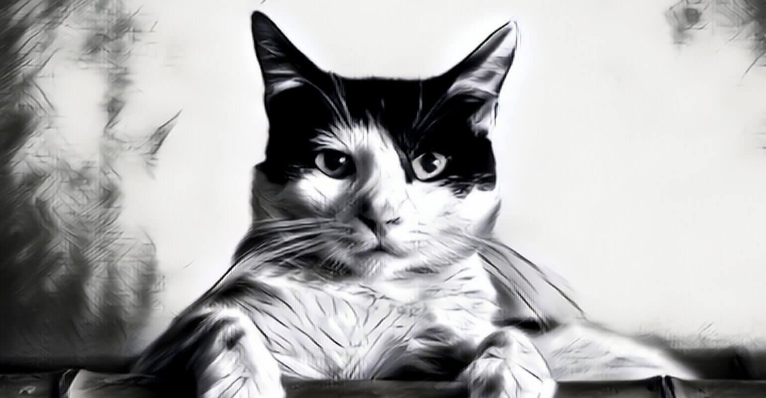 Photo transformée en dessin 3