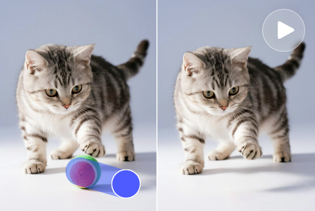 supprimer des objets d'une vidéo avec Fotor